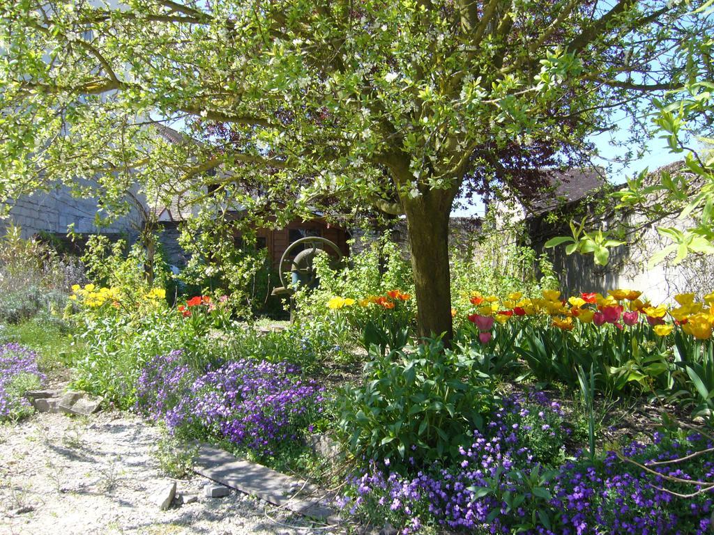 Bed and Breakfast L'instant Présent Pacy-sur-Armancon Exterior foto